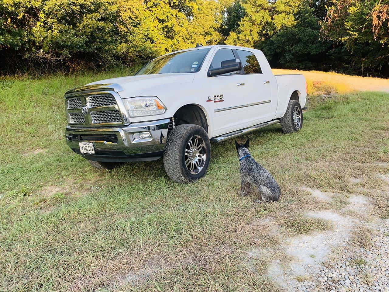 White Ram 2500 truck.